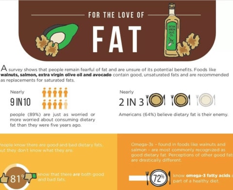 For the Love of Fat Infographic