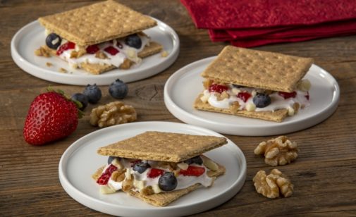 Red, White and Blueberry S'mores