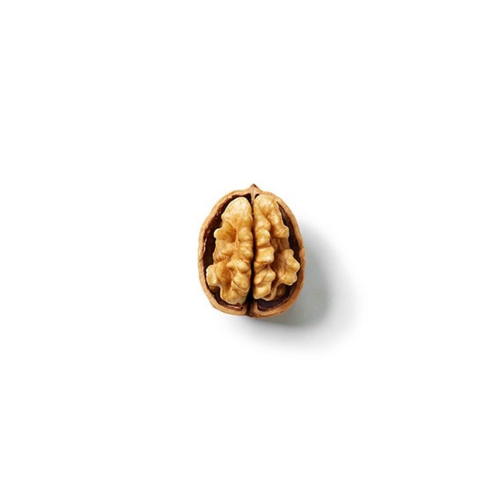 Walnut Brain