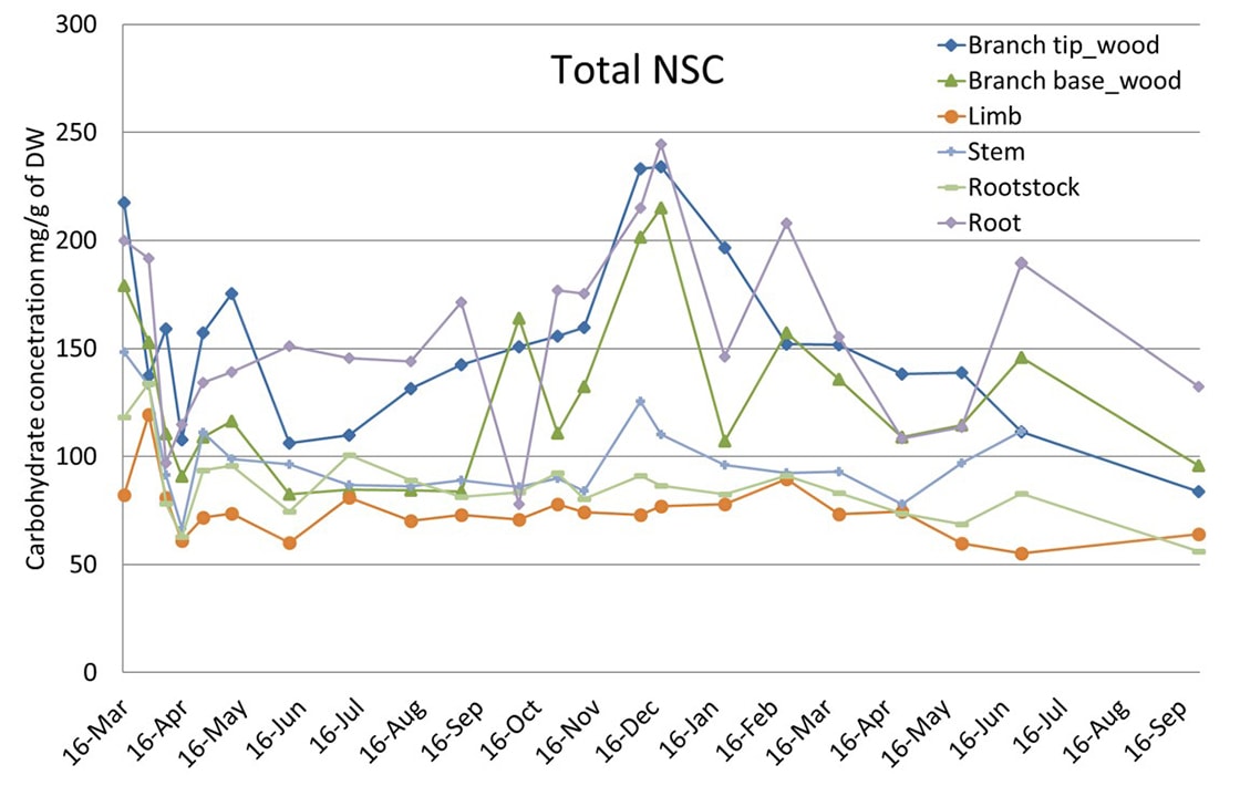 figure 2 season pattern of carbohydrate concentration