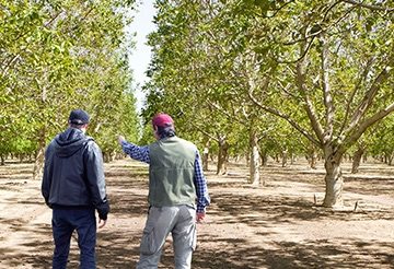 farmers-orchard-thumbnail360x246