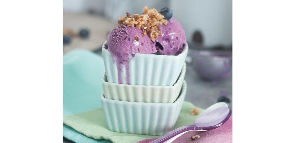 Blueberry Walnut Ice Cream