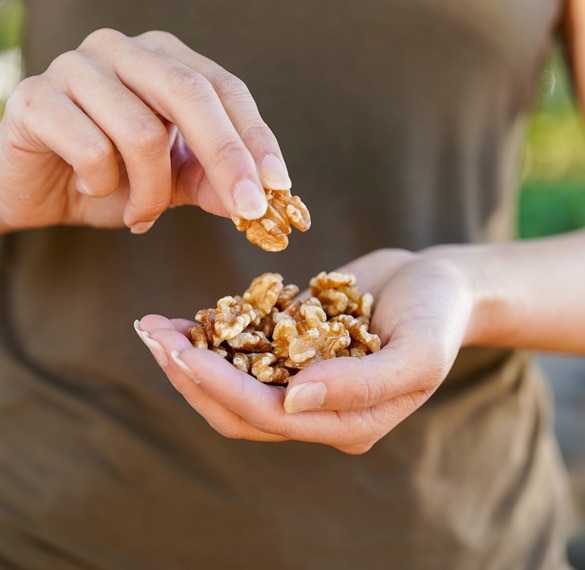 Handful of walnuts