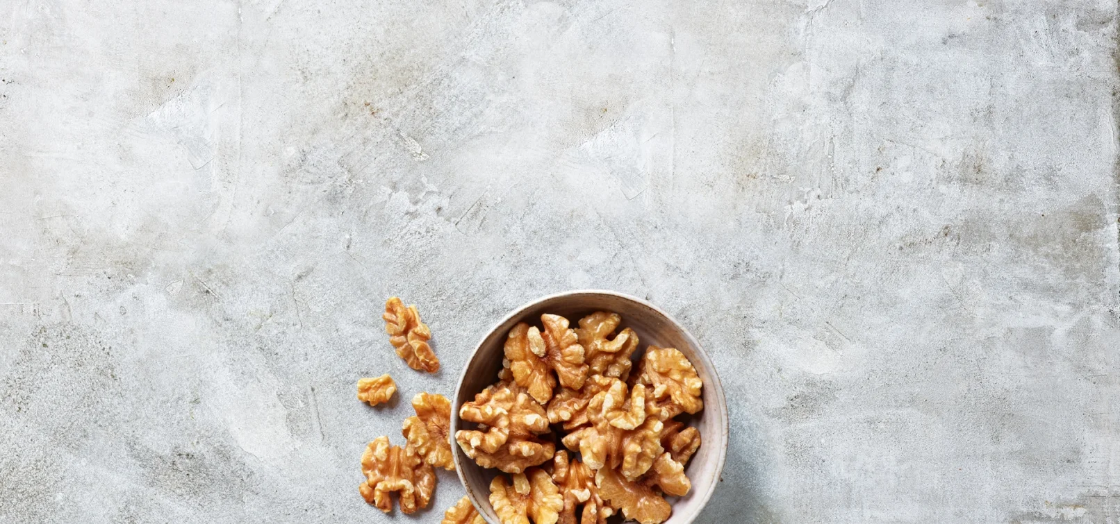 Walnut Bowl Gray Background slider